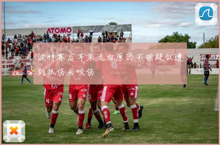 波特赛后耳朵流血原因不明疑似遭到抓伤或咬伤